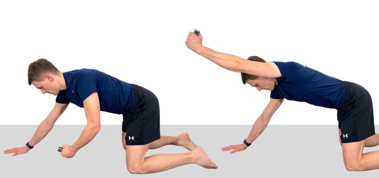 Vierfüßler-Armheben zur Kräftigung des Serratus anterior: Arm mit Daumen nach oben maximal nach vorne gestreckt